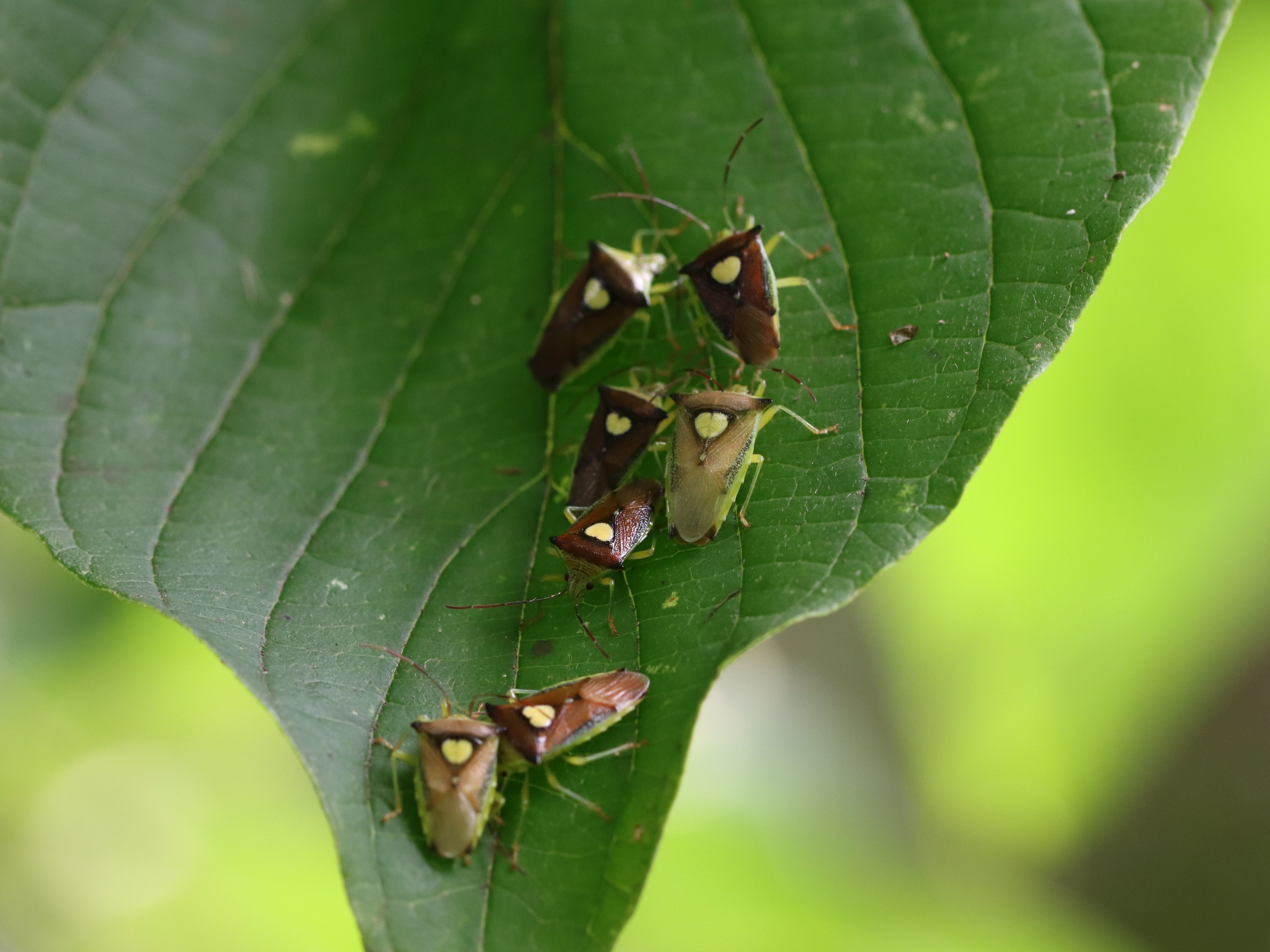 photo_6